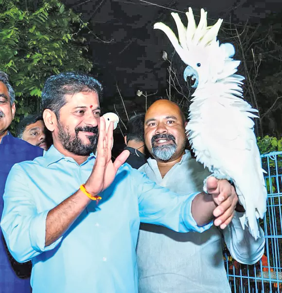 మూసీ పరిసరాల్లో నైట్ టూరిజం.. హైదరాబాద్ బ్రాండ్ ఇమేజ్ పెంచేలా సీఎం ప్లాన్!